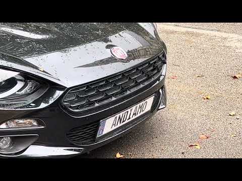 Unexpected Comedy: Funny Fiat License Plate