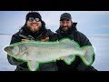 Catching big GREENBACK walleyes on Lake Winnipeg!