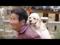 Granny & Dog Who Overcome Their 87-Year Age Gap | Kritter Klub