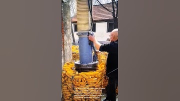 Ingenious Corn Harvesting! Watch This Amazing Suction Machine in Action