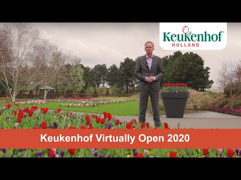 Keukenhof virtually open - We will bring Keukenhof to you!