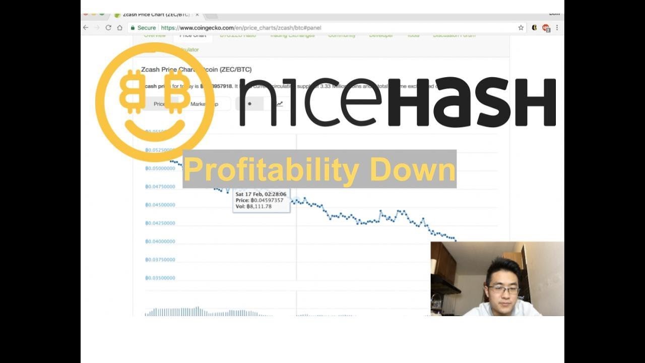 This Is Why Nicehash Btc Profitability Is Down Youtube