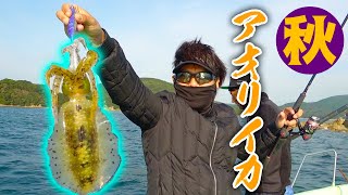 秋イカシーズン到来！？アオリイカを狙う！