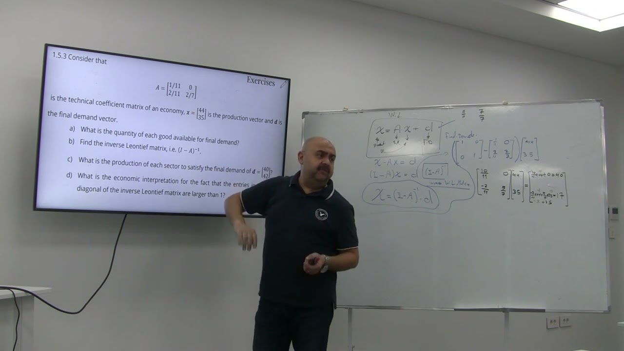 W6 Continue Leontief matrix P1