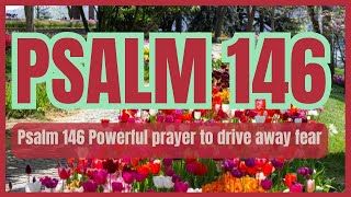 Psalm 146 Powerful prayer to drive away fear