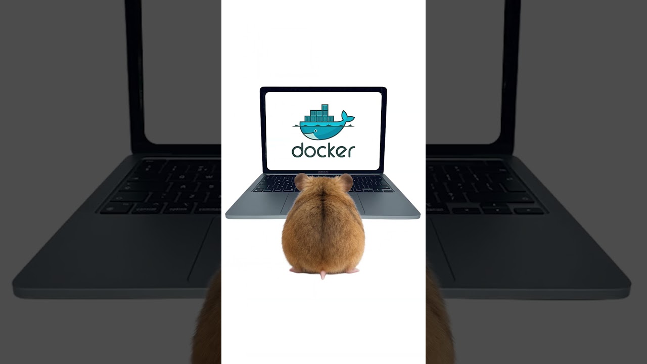 Docker - Explained by Hamsters #docker #server #tech
