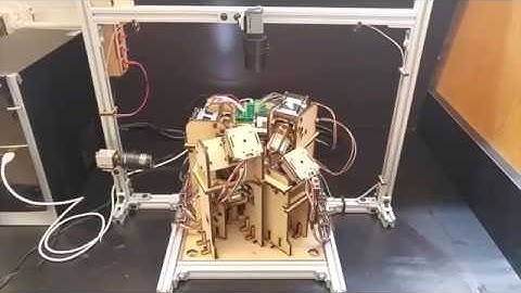 Five-Degree-of-Freedom Magnetic Control of Micro-Robots Using Rotating Permanent Magnets