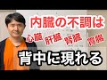 内臓の不調は背中にコリや張りとなって現れます。【東京都府中市　整体】