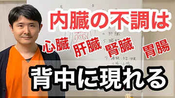 Download 内臓 位置 背中 Mp4 Mp3