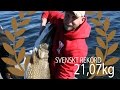 Svenskt rekord på gädda - 21,07 kg