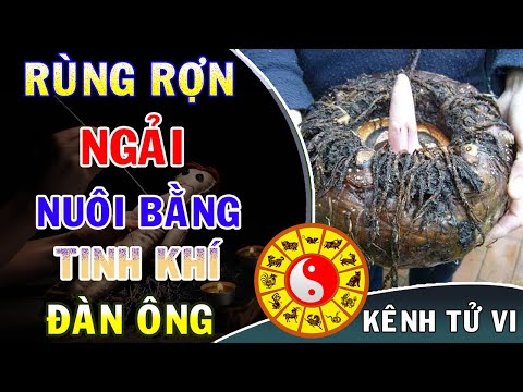 Video RÙNG RỢN với loại BÙA NGẢI nuôi bằng TINH KHÍ đàn ông - youtube
