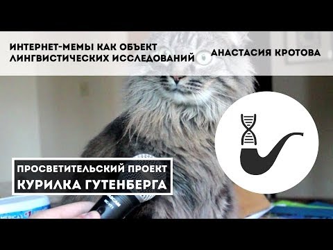 Интернет-мемы как объект лингвистических исследований – Анастасия Кротова