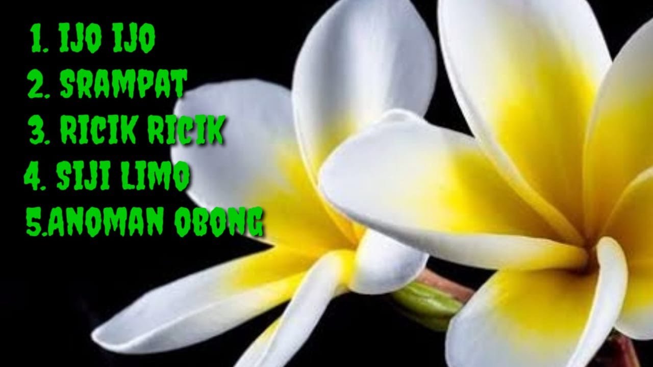 Kumpulan Gending Jawa Versi Bayer Club - Pajaresuk Pringsewu