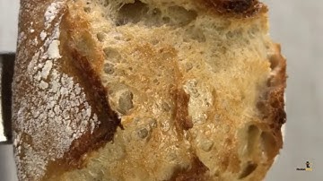 Robotray® ROBOSCORE (ENG)