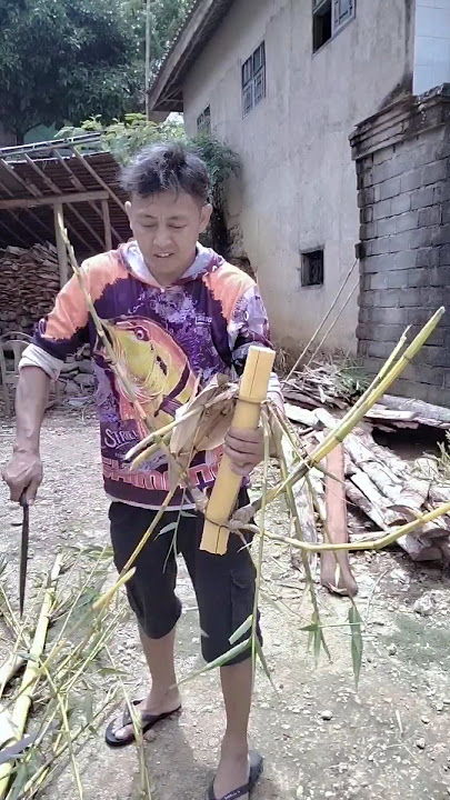 bambu petuk patil lele Ampel kuning di dalamnya ada batu mustika besar #bambupetuk #batuakik #viral