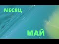 Месяц Май