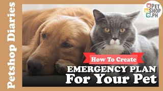Create an Emergency Plan for Your Pet | Petshop.PH