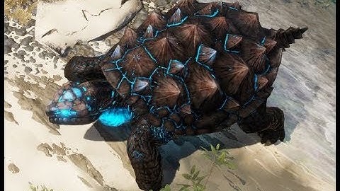 Divinity Original Sin 2 - Turtle Fight On Tactician (without taking a single hit)