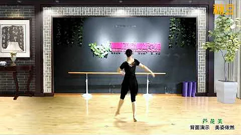 背面演示 優美三步舞《蘆花美》美姿依然 編舞 紫蝶 - 天天要聞