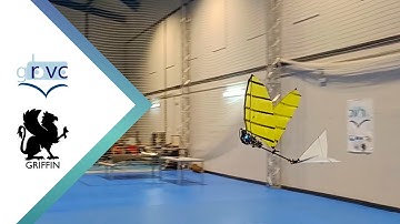 A Comparison between Frame-based and Event-based Cameras for Flapping-Wing Robot Perception