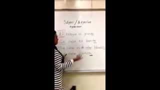 Noun/adjective agreement