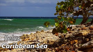 Relax - Sound Of Waves - Caribbean Sea -Deep Sleep - Meditation - Nature And Ralaxation Video Sounds