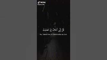قل إني أخاف إن عصيت ربي عذاب يوم عظيم | القارئ محمد طه الجنيد