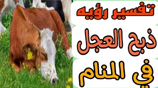 تفسير رؤيه ذبح العجل في المنام/رؤيه البقره المذبوحة في الحلم للرجل والمرأه