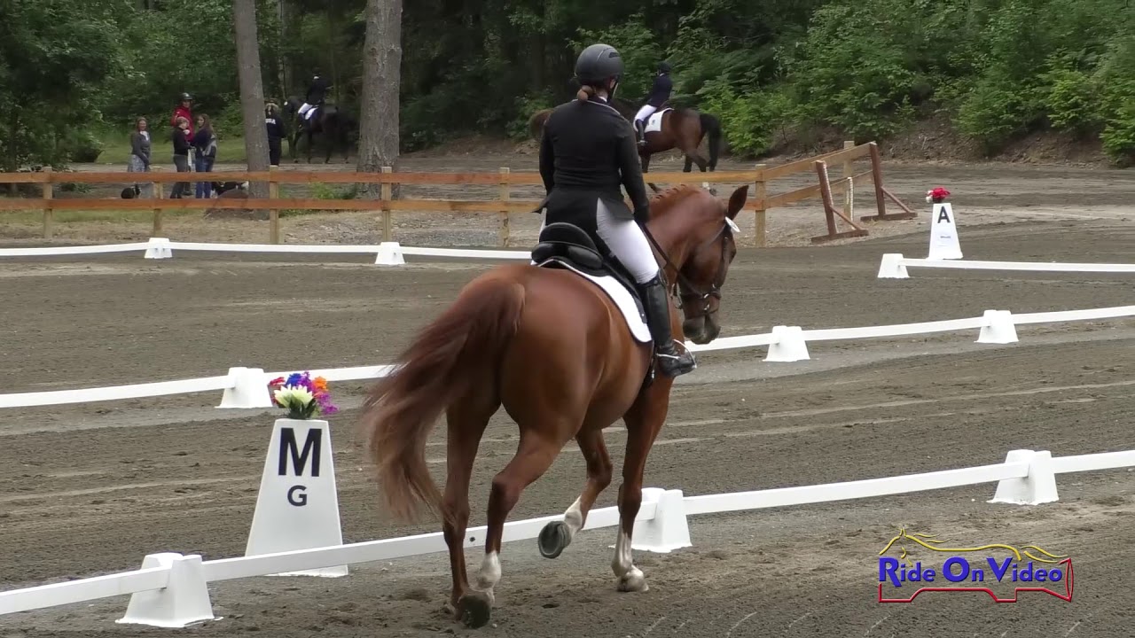 horseshoe bend 144D Anne Johnson on Odyssey BTF Training Rider Dressage Aspen Farms June 2019