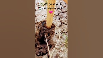 لا تهرب من القران الكريم