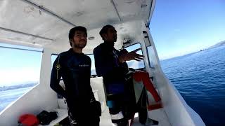 Ambon Dive Trip