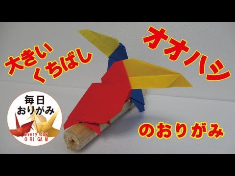 毎日折り紙 大きいくちばしのオオハシのおりがみ Youtube 毎日折り紙 大きいくちばしのオオハシのおりがみ Youtube