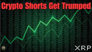 Trump Wrecks Shorts & Ripple RLUSD & Other XRPL Stablecoins Growing Fast
