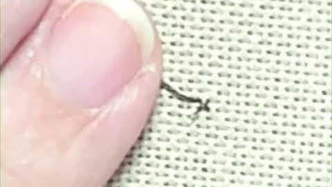 #60. loop start with single thread from the front