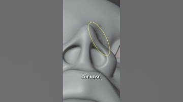 The most common issues in sculpting noses and how to fix them. #b3d #blender3d #3dsculpting