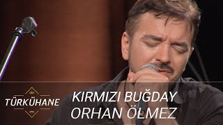 Türkühane I Orhan Ölmez - Kırmızı Buğday Resimi