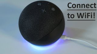 How to Connect Alexa to WiFi - 4th generation screenshot 3