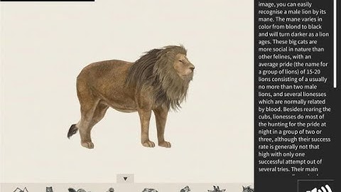 Hướng dẫn cài đặt Animal 4D+ và tải trọn bộ 26 hình ảnh Animal 4D Card