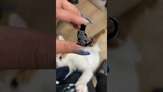 Its Always The Cat Behind Her