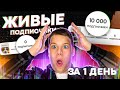 КАК НАКРУТИТЬ ПОДПИСЧИКОВ В ИНСТАГРАМ В 2025 ГОДУ (пошаговый план)