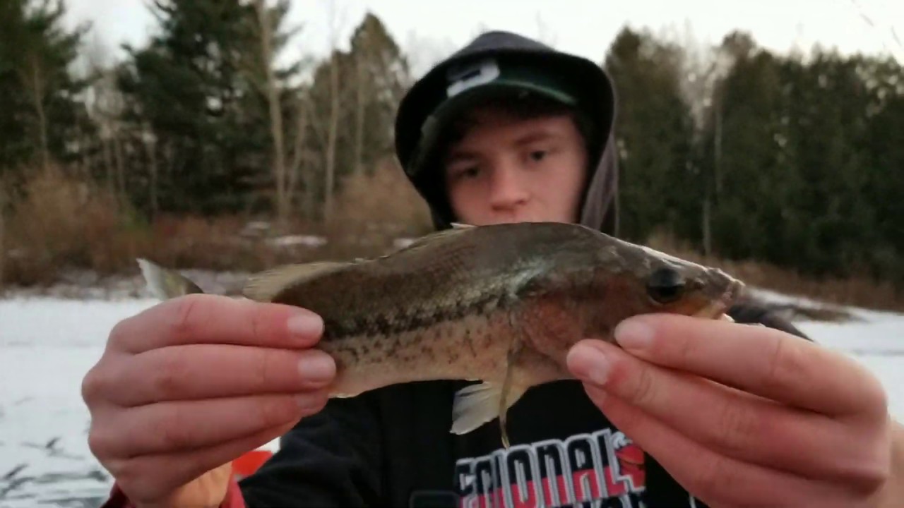 First Ice Bass Fishing On Tip Ups! YouTube