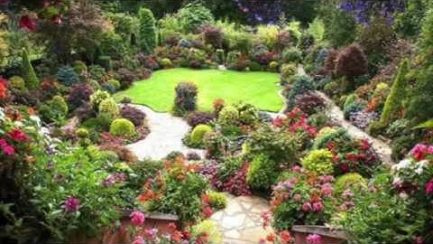 القارئ سعيد باعامر فجرية ٢٤ رمضان ١٤٣٧هـ