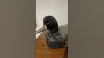 Vintage duck  decoys
