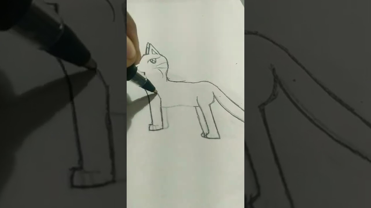 zorro zorro pide socorro con un gorro - YouTube