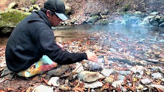 渓流でイワナを釣って焚き火で焼いて食べる最高の休日 mountain stream fishing and bonfire