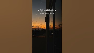 #سورة_الشعراء ✨️ بصوت القارئ #ابو_بكر_الشاطري ✨️#2024 #القرآن_الكريم #تلاوة_خاشعة ✨️👑