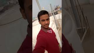 Naja Naja song