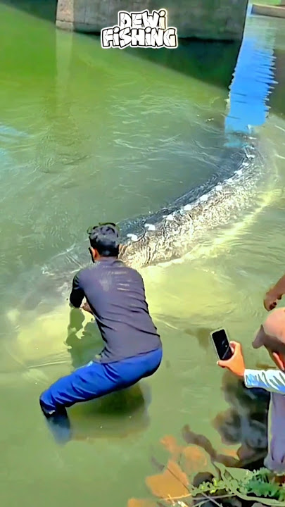 Tangan Pemancing Ini Nyaris Putus ⁉️ Strike Ikan Besar Dengan HandLine #amazing #fishing #viralvideo