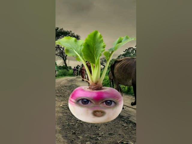 #viral #shorts #shortsfeed #shortvideo #short 💯😊