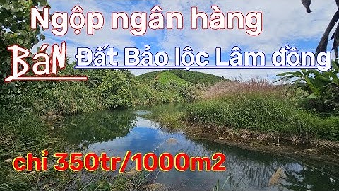 Sốc! Đất Bảo Lộc Giá Chỉ 350 Triệu/1000m² - Không Khí Trong Lành, Phong Cảnh Tuyệt Đẹp bên hồ.